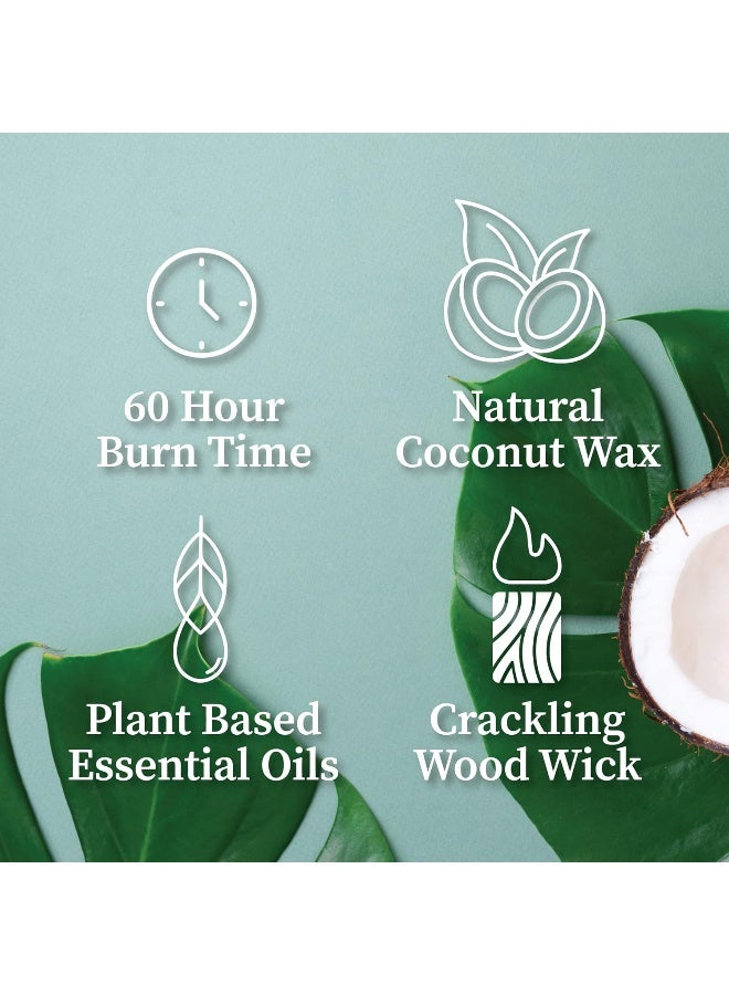 Hemlock Park Crackling Wood Wick Candle Handcrafted with Organic Coconut Wax and Essential Oils (Foxtail Fir, Standard 8 oz) - Image 3